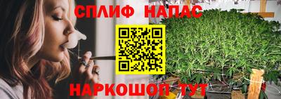 стаф Пенза