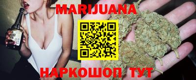 индика Обнинск