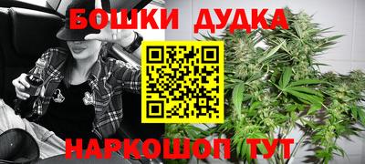 стаф Пенза