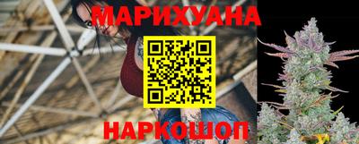 стаф Пенза