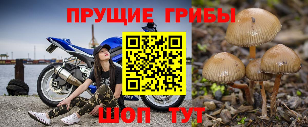 Псилоцибиновые грибы прущие грибы  Вход с VPN  Рыбинск 